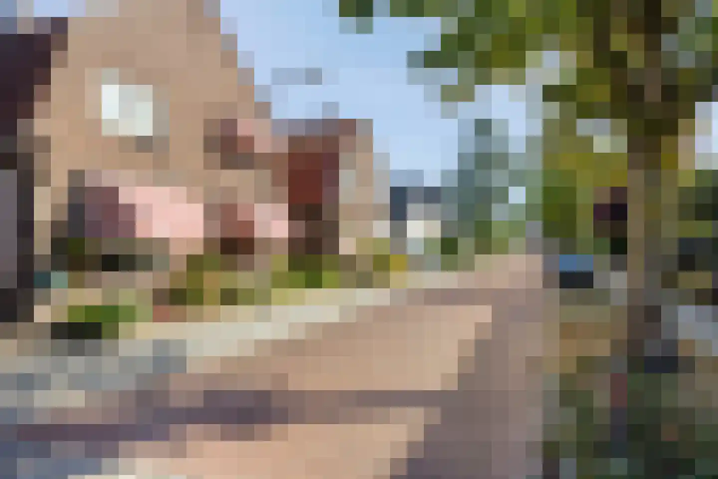 Buitensingel 34 Dieren thumbnail 45