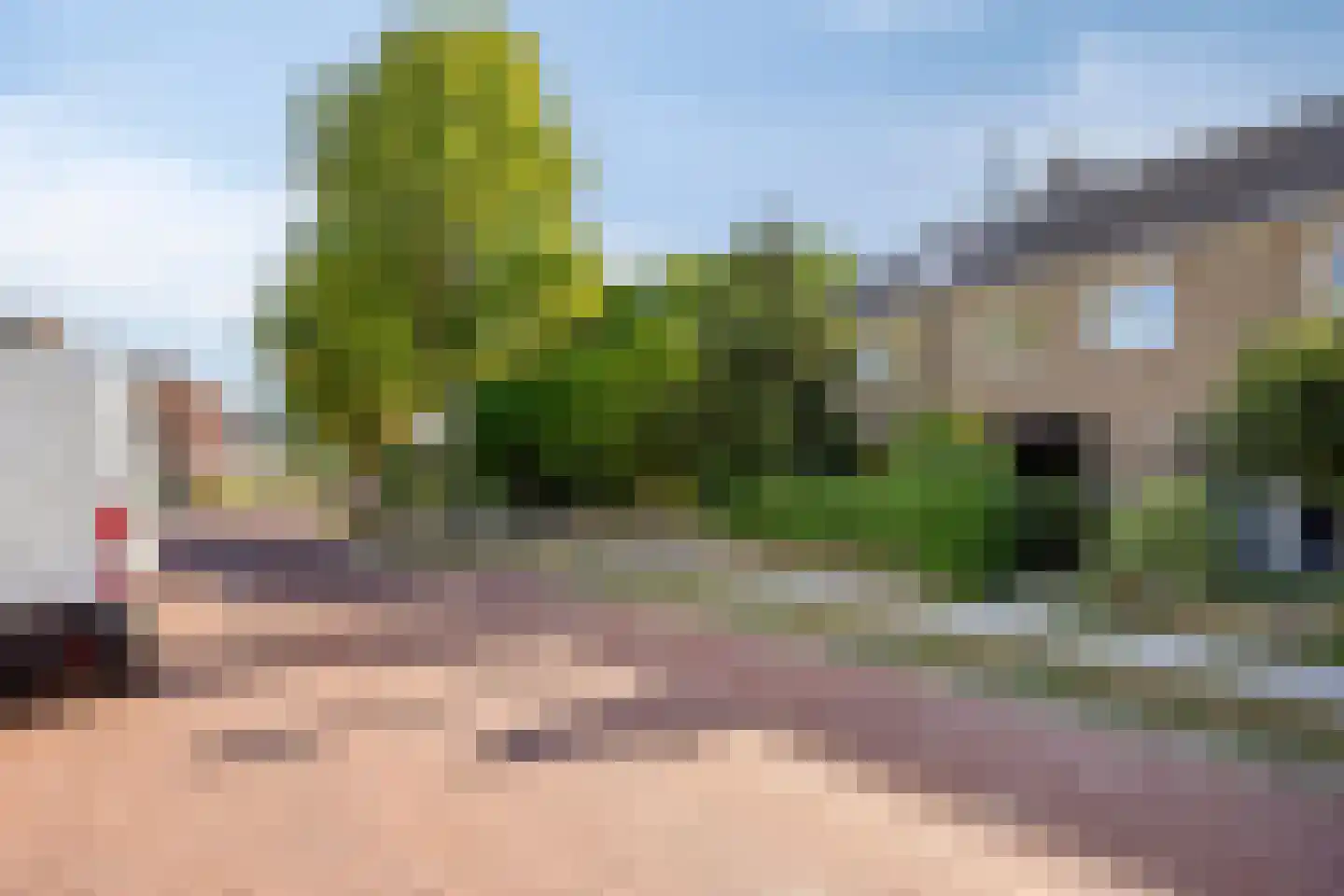 Buitensingel 34 Dieren thumbnail 7