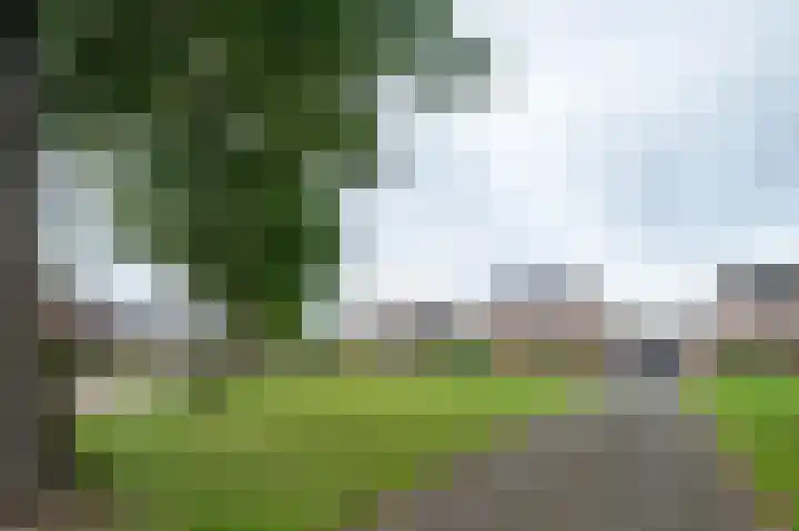 Buitensingel 36 Sappemeer thumbnail 12