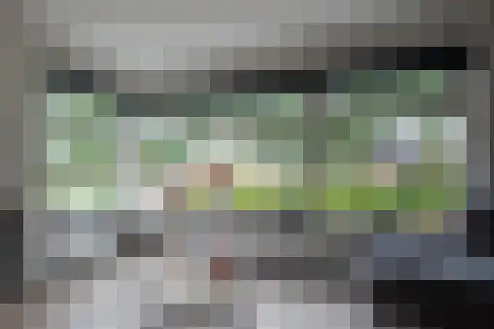 Buitensingel 36 Sappemeer thumbnail 19