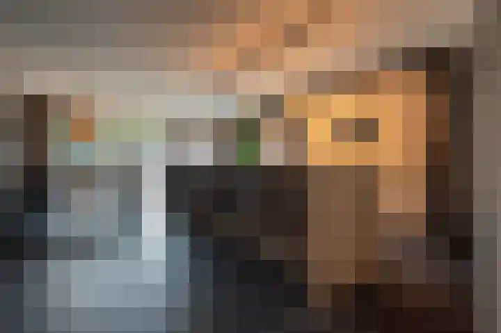 Buitensingel 36 Sappemeer thumbnail 24
