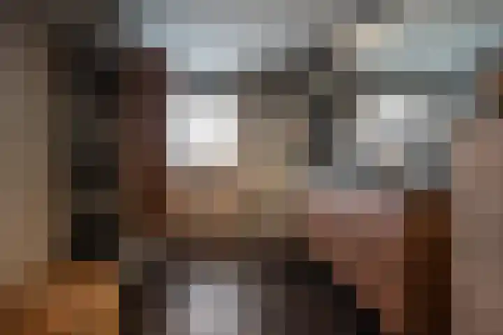 Buitensingel 36 Sappemeer thumbnail 36