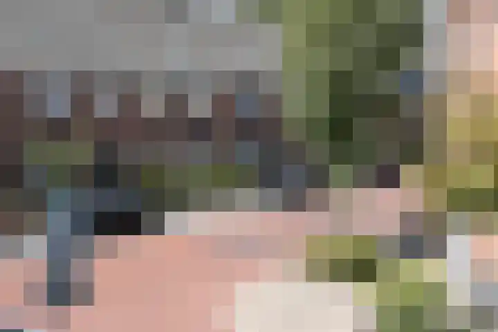 Buitensingel 4 Zutphen thumbnail 27