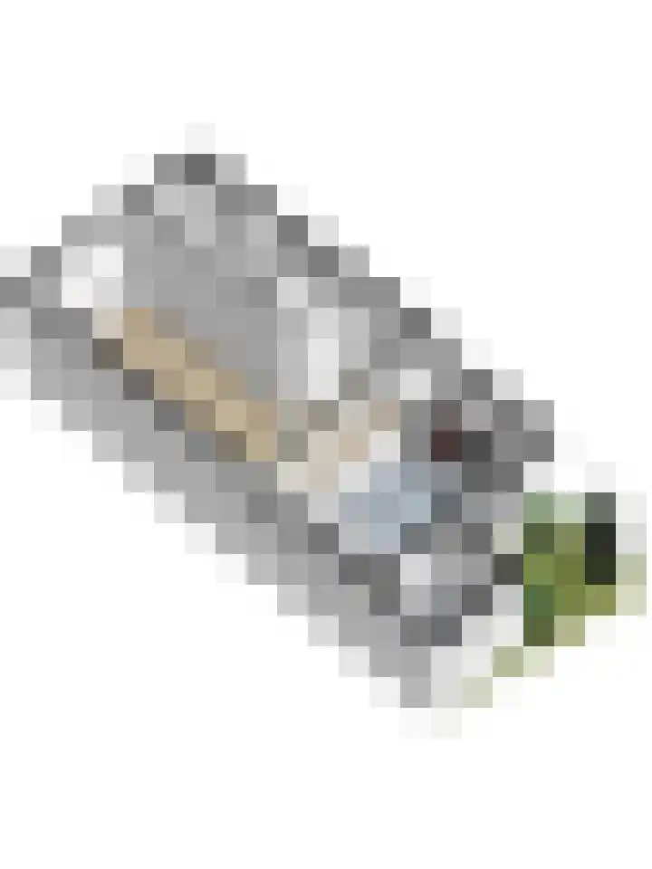 Buitensingel 4 Zutphen thumbnail 32