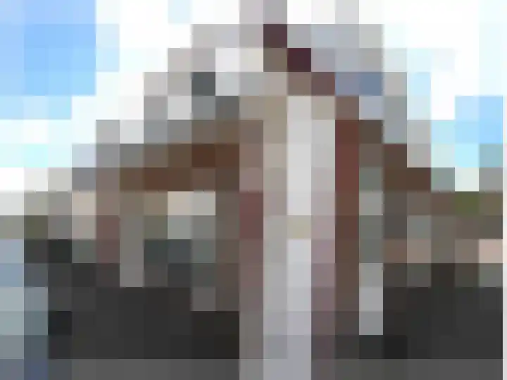 Buitensingel 4 Zutphen thumbnail 8
