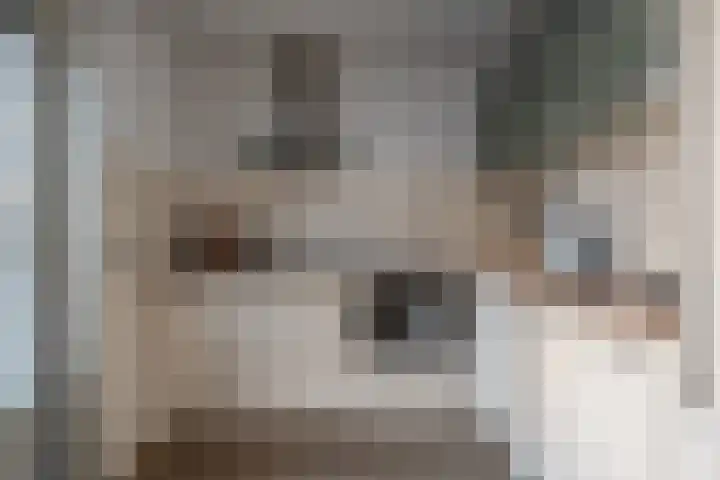 Buitensingel 40 Sappemeer thumbnail 10