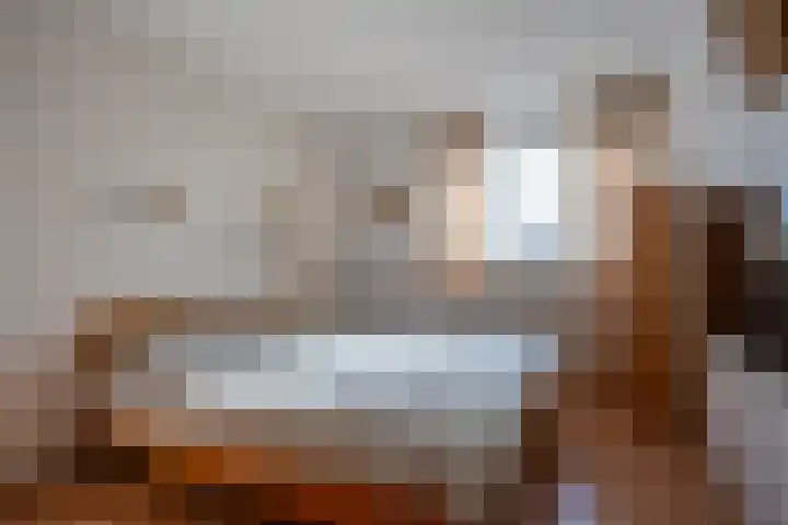 Buitensingel 40 Sappemeer thumbnail 16