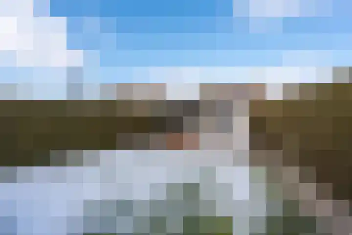 Buitensingel 40 Sappemeer thumbnail 34