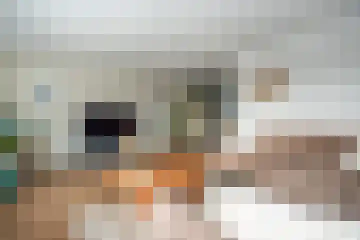 Buitensingel 40 Sappemeer thumbnail 4