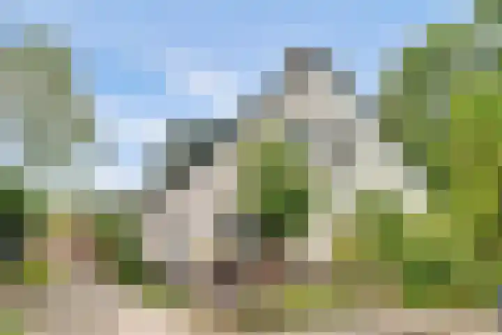 Buitensingel 42 Ellecom