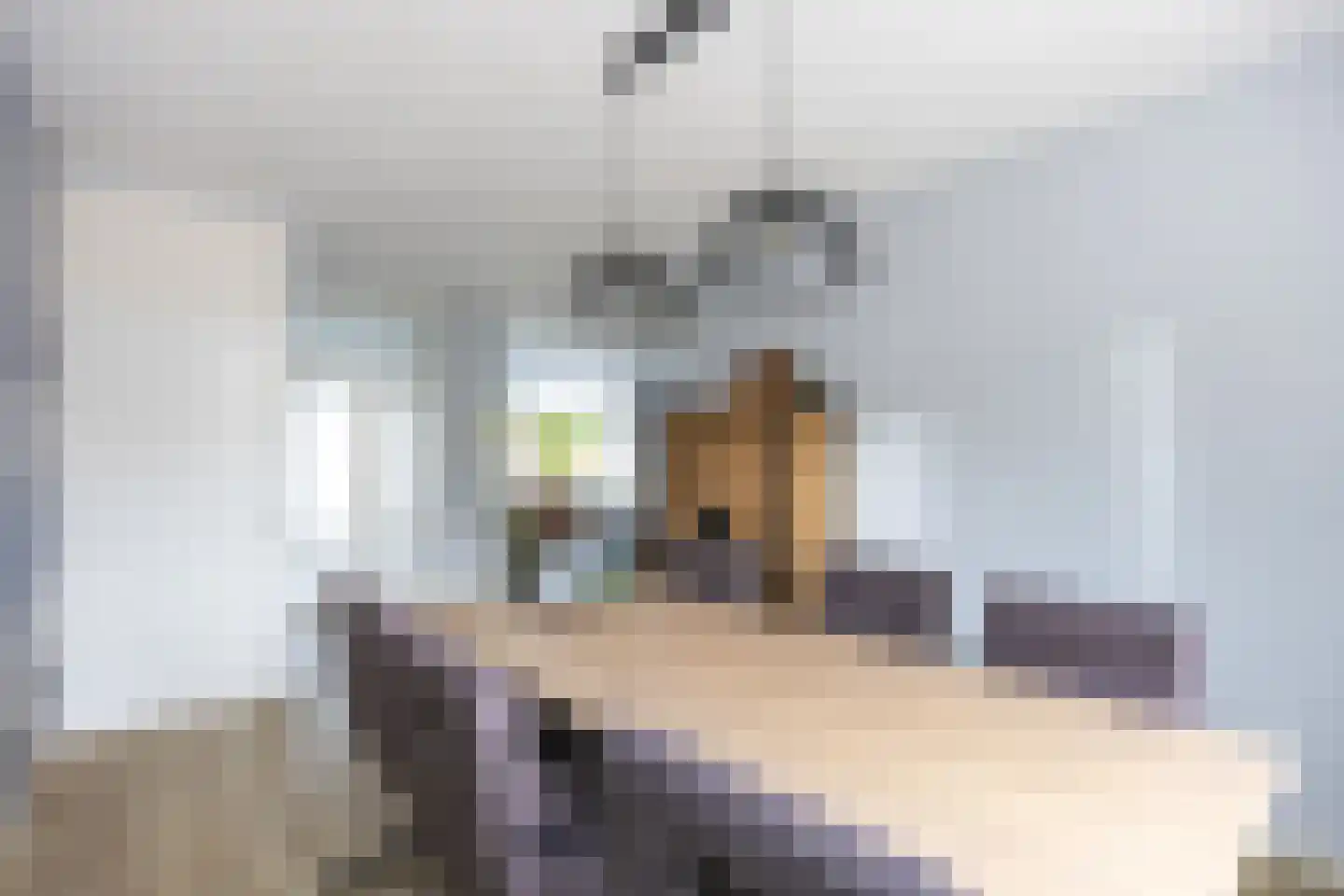 Buitensingel 46 Oldehove thumbnail 12