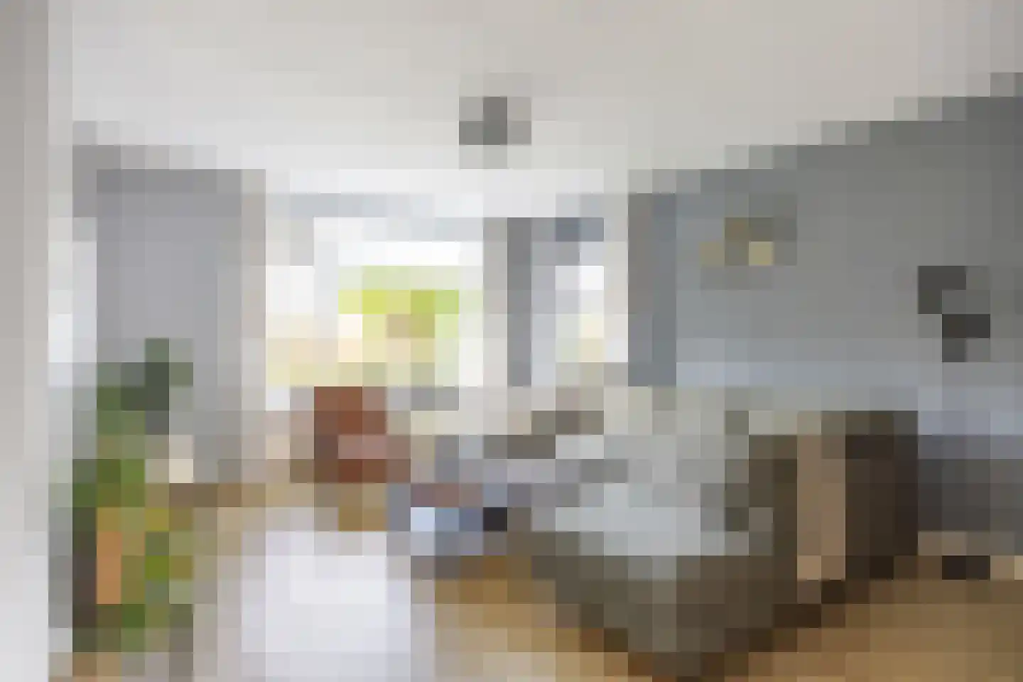 Buitensingel 46 Oldehove thumbnail 14