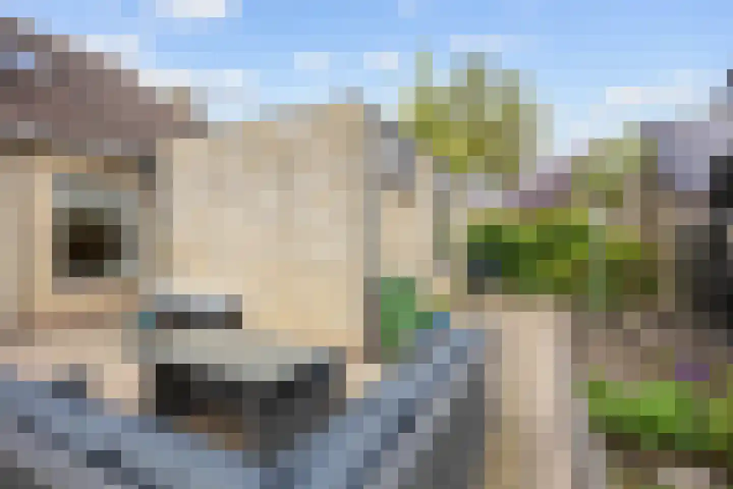 Buitensingel 46 Oldehove thumbnail 37