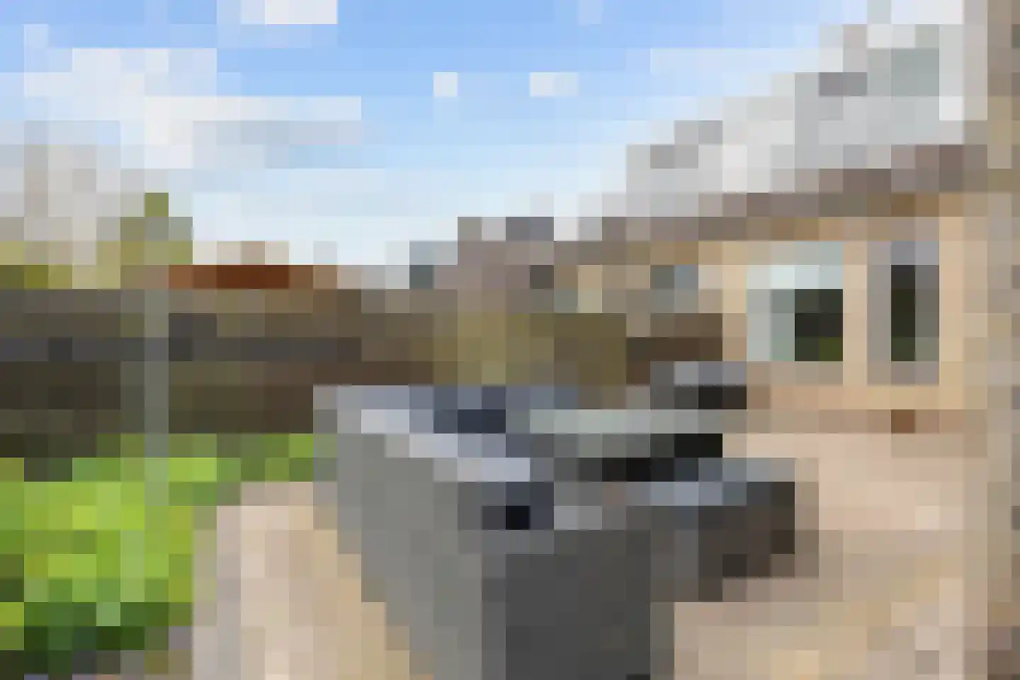 Buitensingel 46 Oldehove thumbnail 38