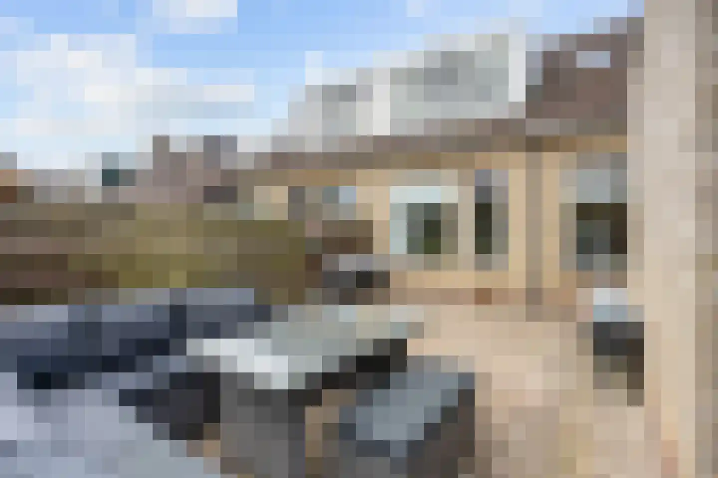 Buitensingel 46 Oldehove thumbnail 39
