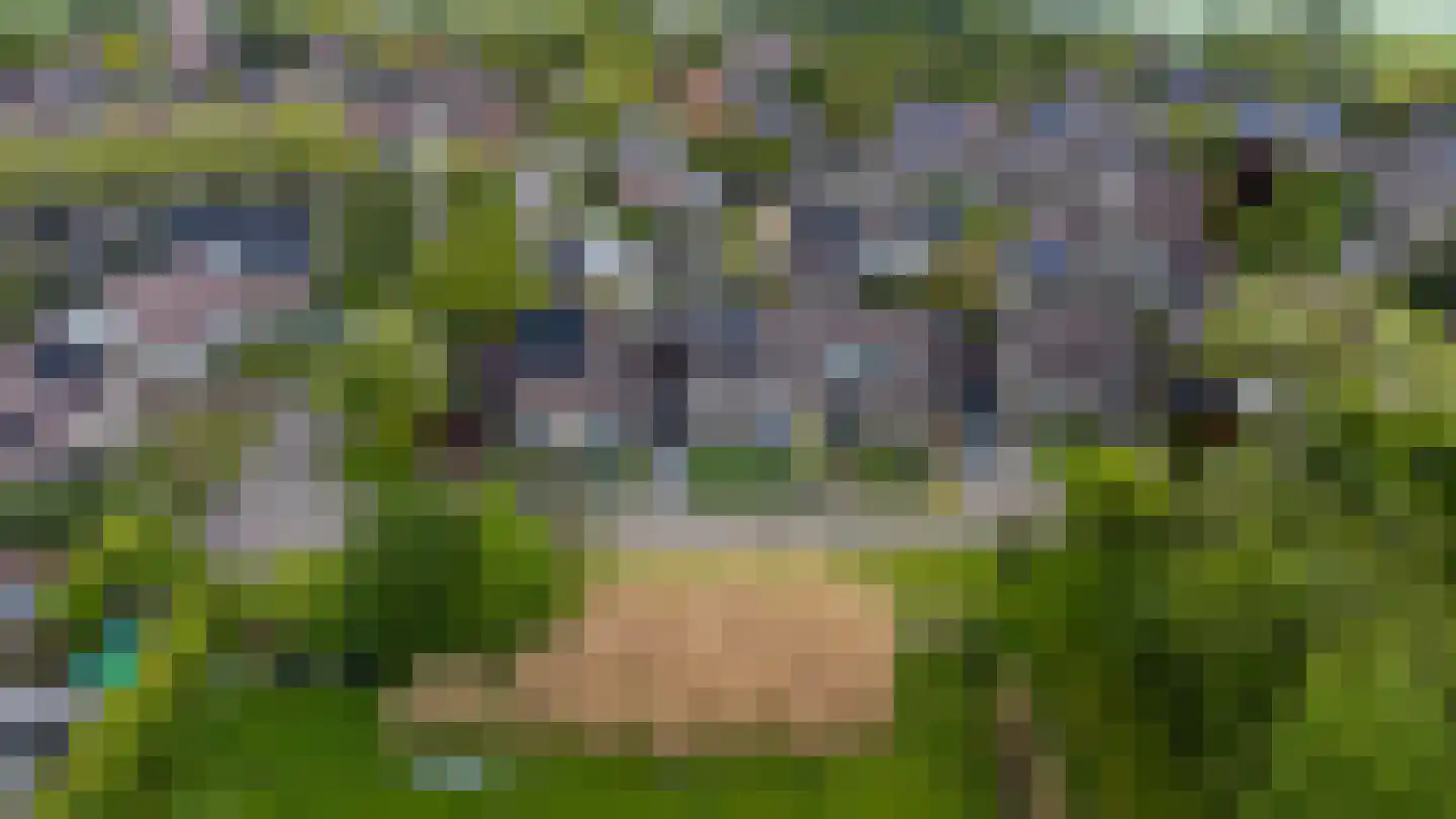 Buitensingel 46 Oldehove thumbnail 41