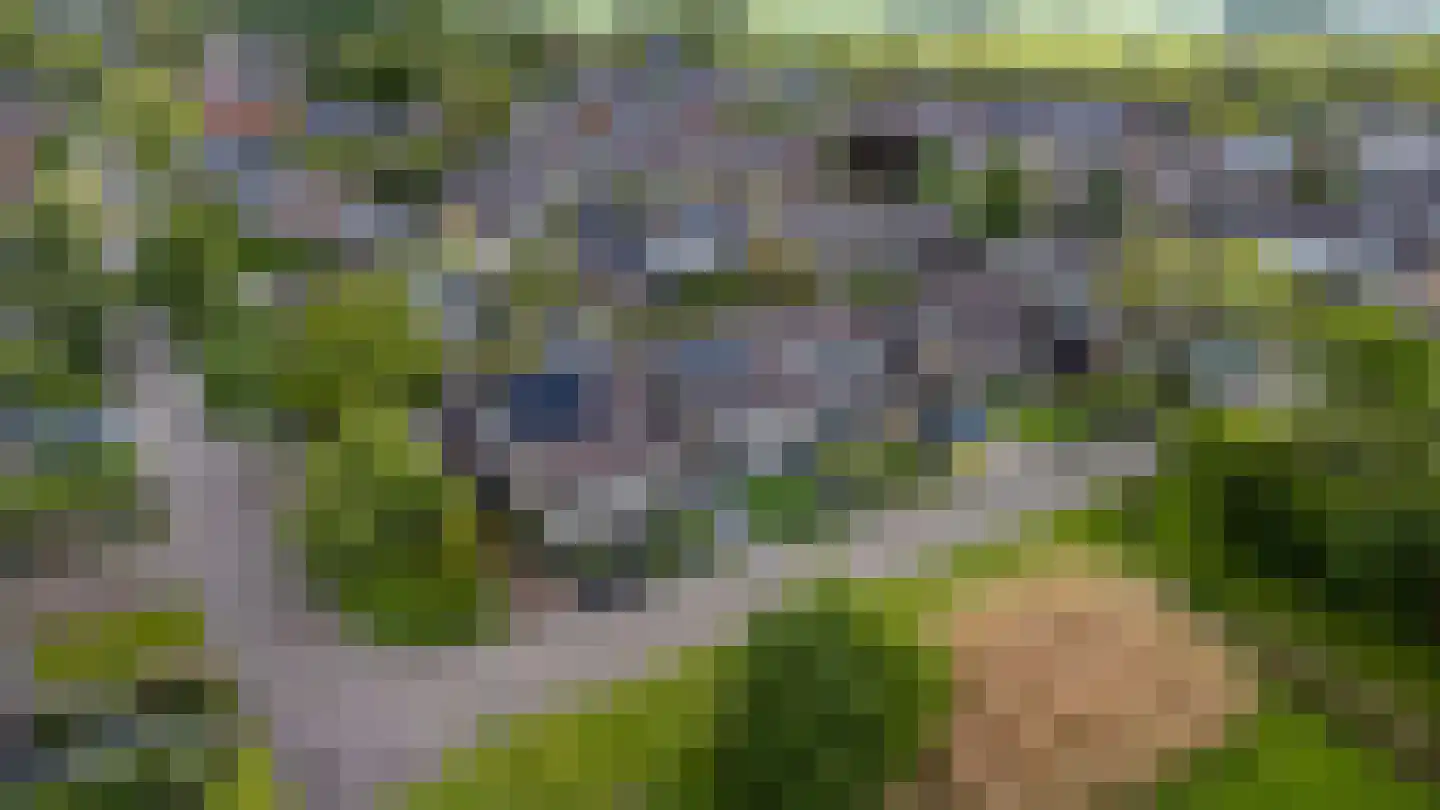 Buitensingel 46 Oldehove thumbnail 42