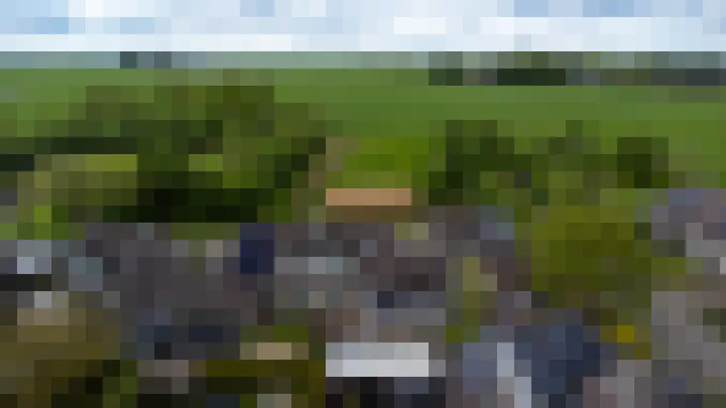 Buitensingel 46 Oldehove thumbnail 43
