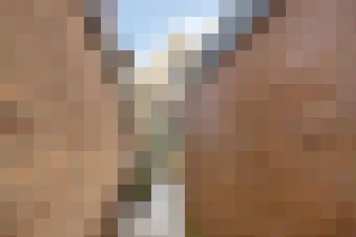 Buitensingel 48 Zutphen thumbnail 24