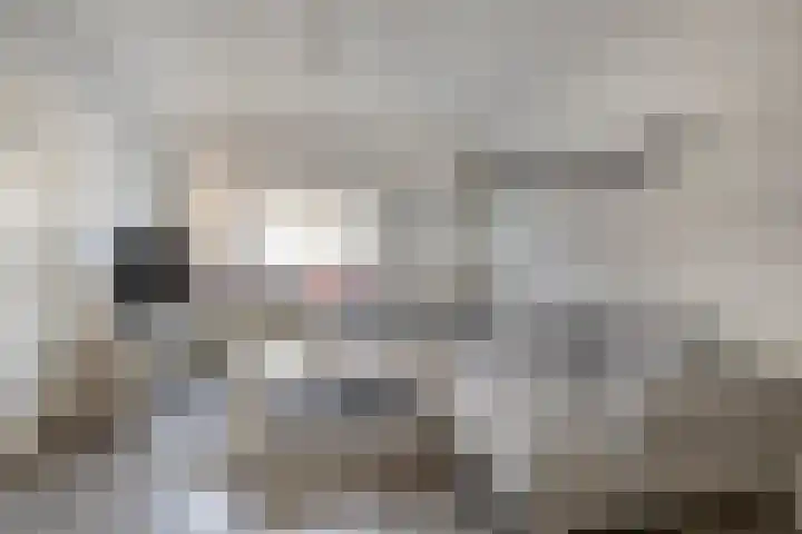 Buitensingel 48 Zutphen thumbnail 4