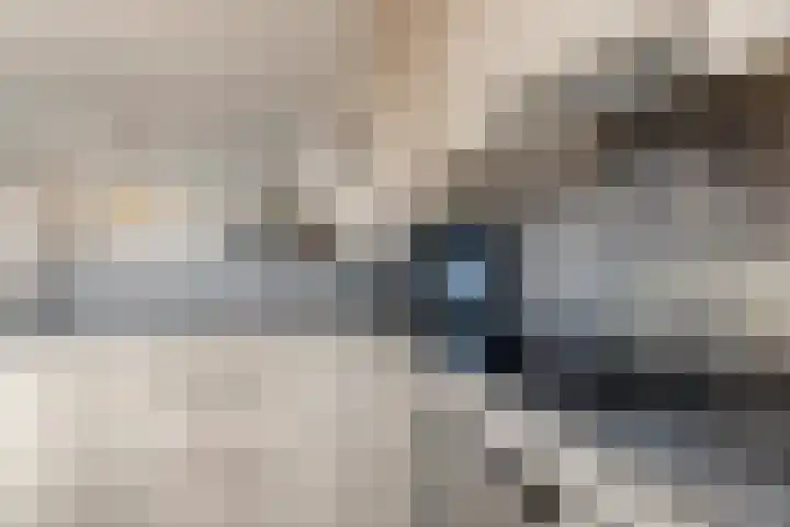 Buitensingel 48 Zutphen thumbnail 7