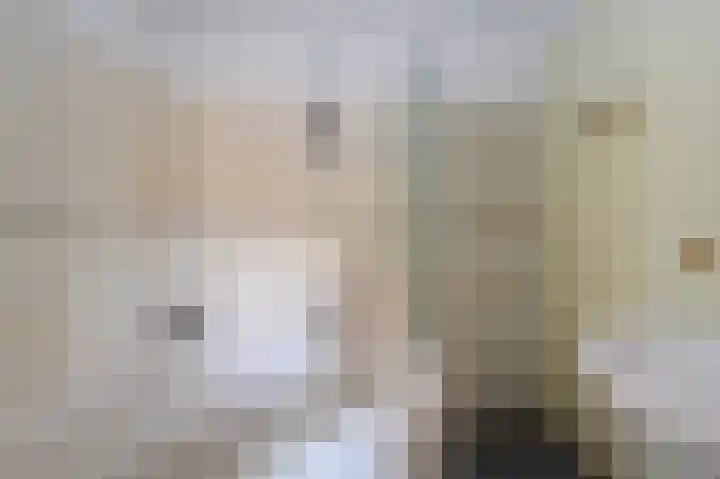 Buitensingel 49 Dieren thumbnail 10