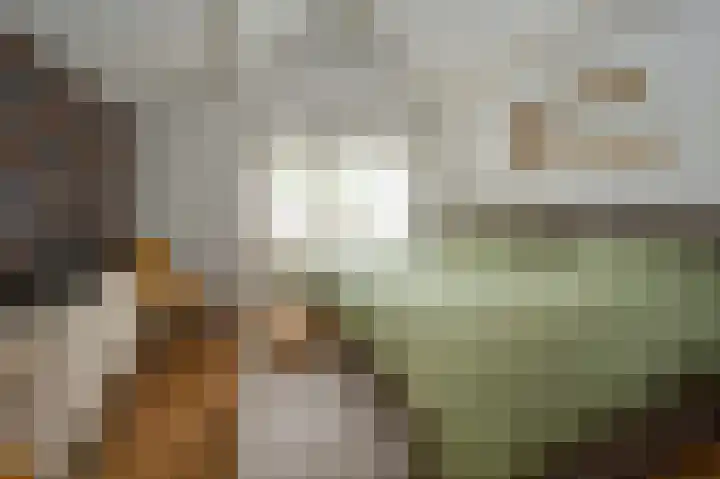 Buitensingel 49 Dieren thumbnail 13