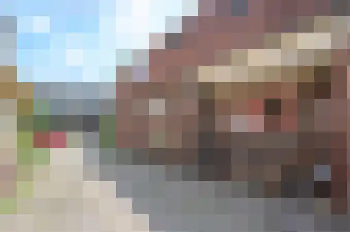 Buitensingel 49 Dieren thumbnail 18