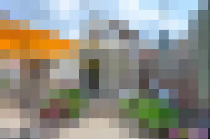Buitensingel 49 Dieren thumbnail 20