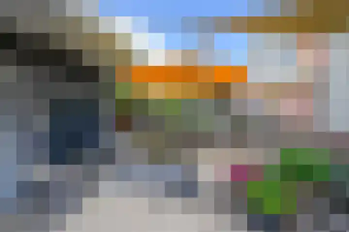 Buitensingel 49 Dieren thumbnail 21
