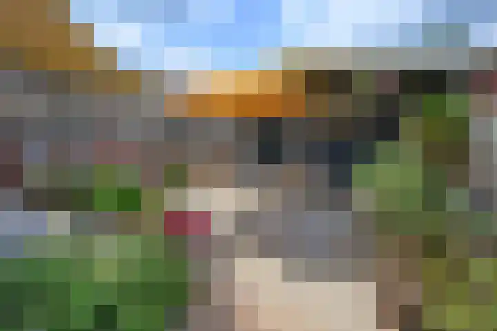 Buitensingel 49 Dieren thumbnail 22