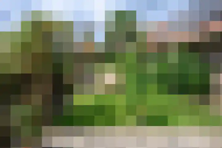 Buitensingel 49 Dieren thumbnail 24