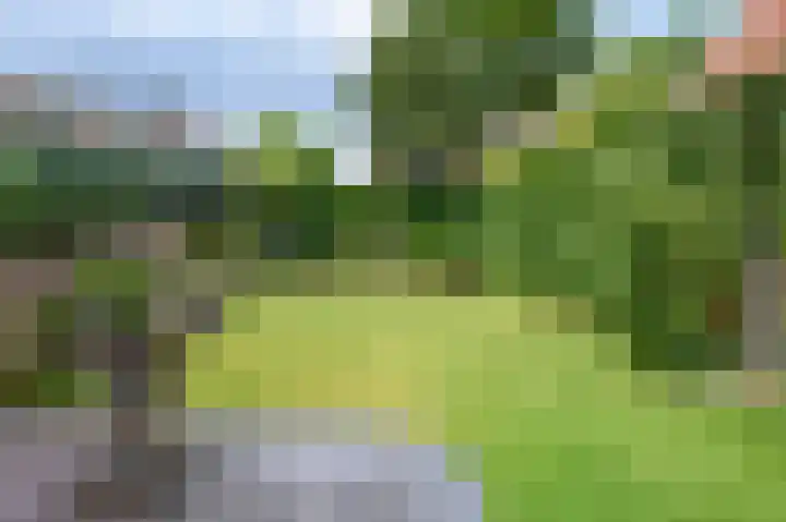 Buitensingel 49 Dieren thumbnail 25