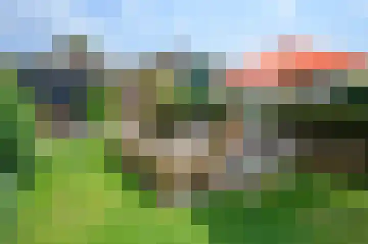 Buitensingel 49 Dieren thumbnail 26