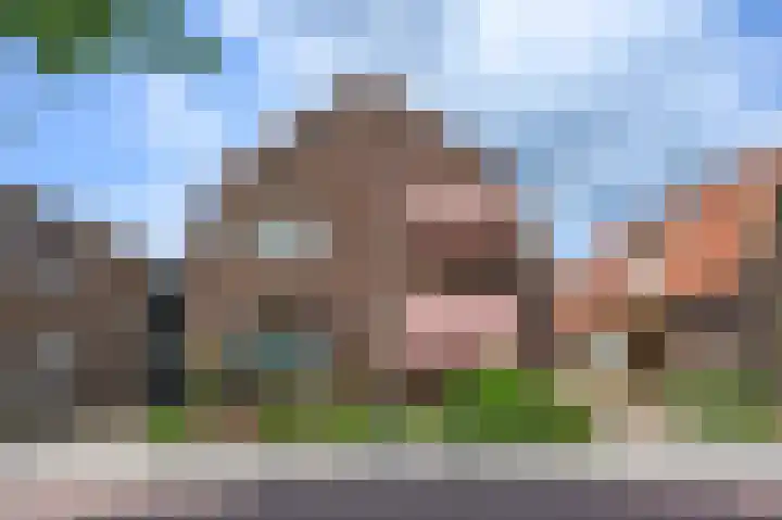 Buitensingel 49 Dieren thumbnail 28