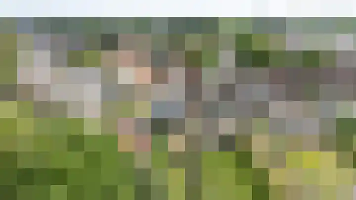 Buitensingel 49 Dieren thumbnail 30