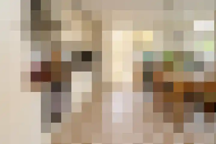Buitensingel 49 Dieren thumbnail 4