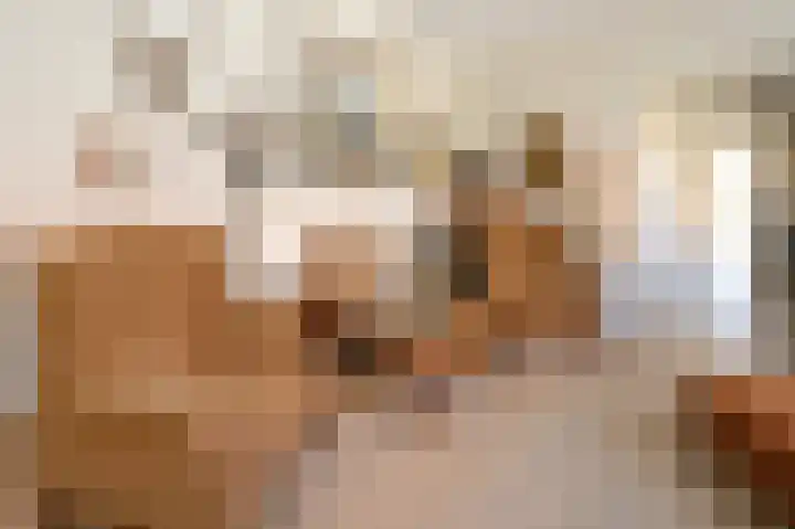 Buitensingel 49 Dieren thumbnail 5