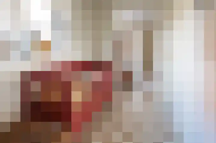Buitensingel 49 Dieren thumbnail 7