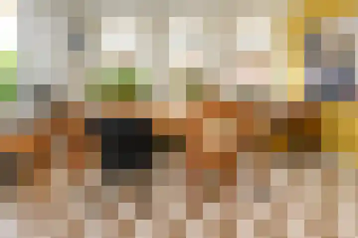 Buitensingel 49 Dieren thumbnail 8