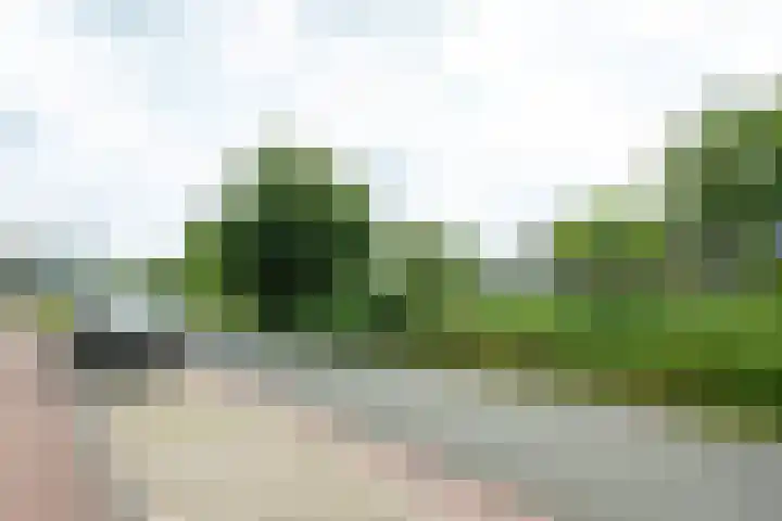 Buitensingel 49 Rijswijk thumbnail 26
