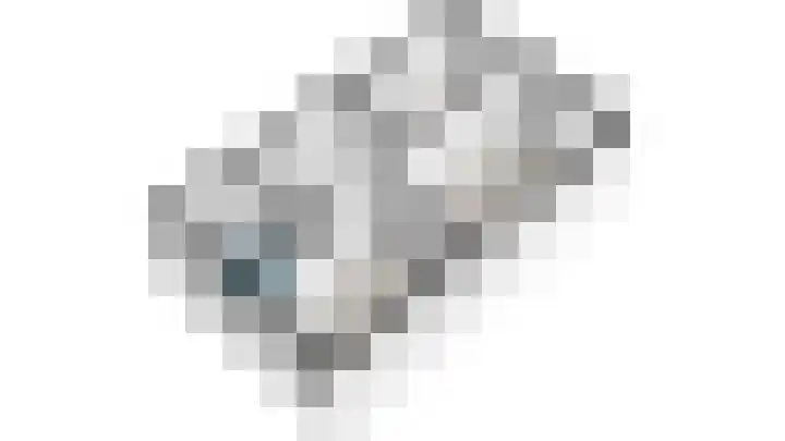 Buitensingel 49 Rijswijk thumbnail 31