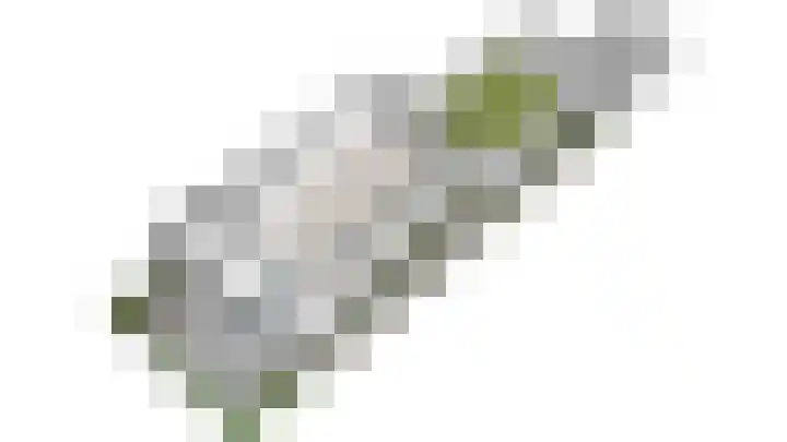 Buitensingel 49 Rijswijk thumbnail 37