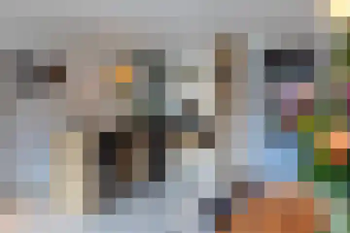 Buitensingel 49 Rijswijk thumbnail 6