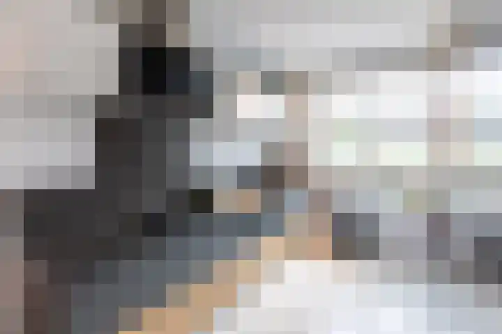 Buitensingel 49 Rijswijk thumbnail 7