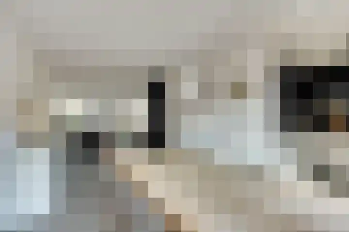 Buitensingel 54 Sappemeer thumbnail 14