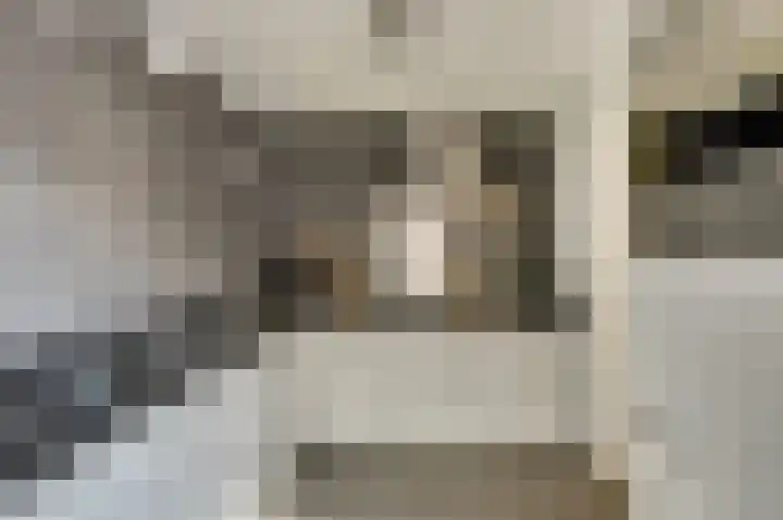 Buitensingel 54 Sappemeer thumbnail 17