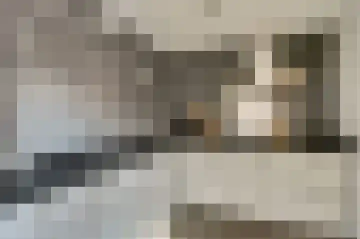 Buitensingel 54 Sappemeer thumbnail 18