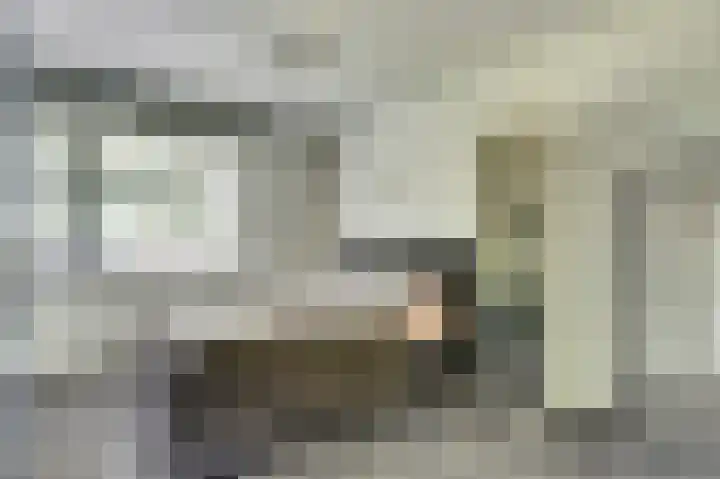 Buitensingel 54 Sappemeer thumbnail 23