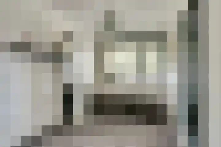 Buitensingel 54 Sappemeer thumbnail 26